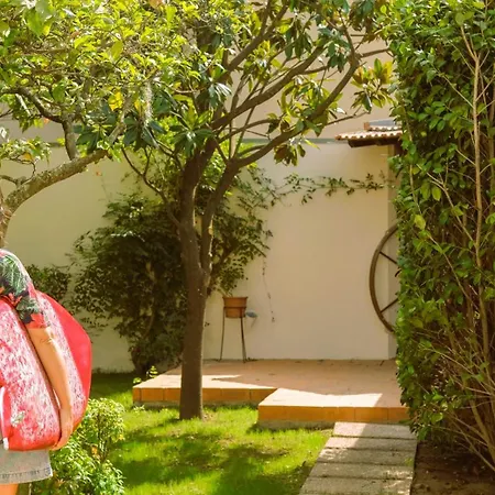 Bed & Breakfast Surf *