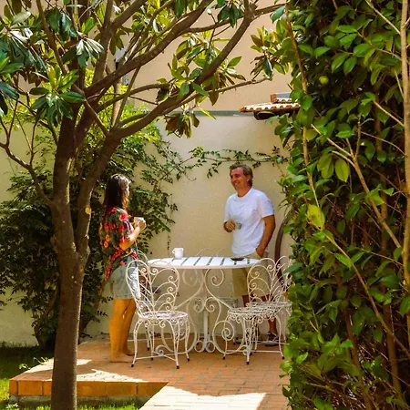 Bed & Breakfast Surf